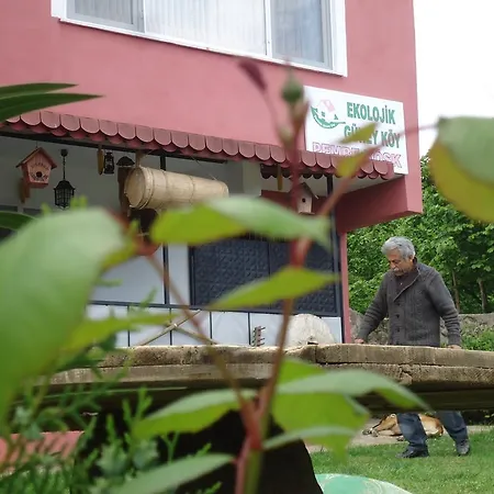 Ekolojik Gueney Koey Pembe Koesk * Balcikli
