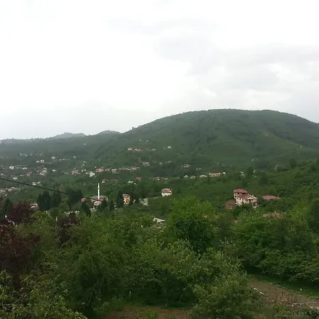 Ekolojik Gueney Koey Pembe Koesk Balcikli