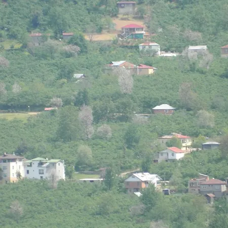 Ekolojik Gueney Koey Pembe Koesk Balcikli