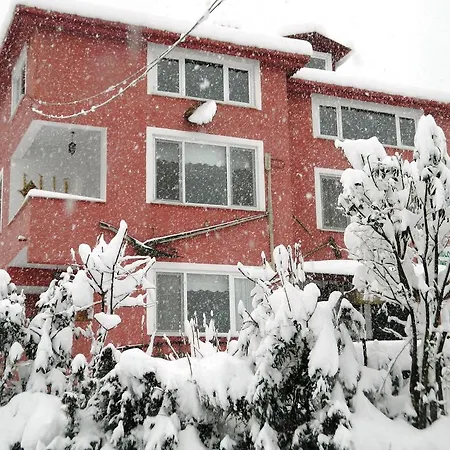 Ekolojik Gueney Koey Pembe Koesk Balcikli