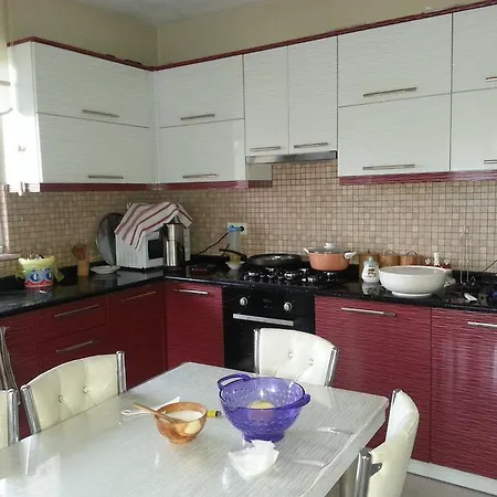 Ekolojik Gueney Koey Pembe Koesk Balcikli